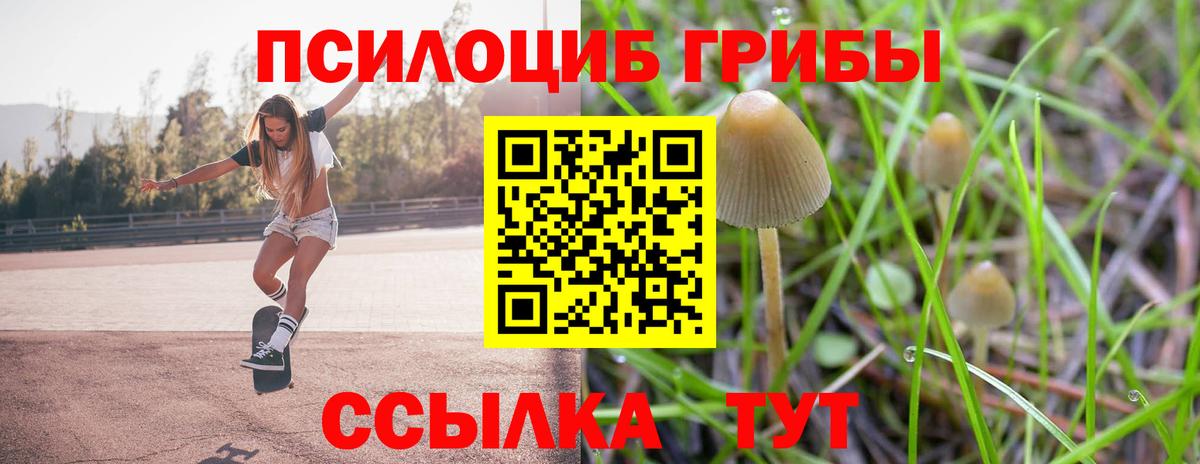 наркошоп  Галлюциногенные грибы ЛСД  Галлюциногенные грибы Psilocybine cubensis  Вход с VPN  Кировск 